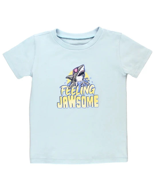 Boys' Short Sleeve Graphic Tee
