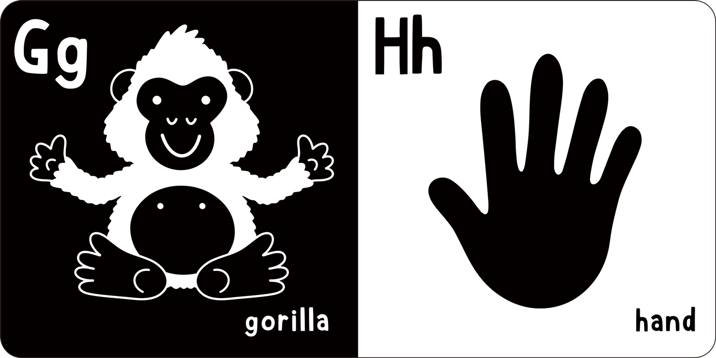 What Does Baby See? ABCs