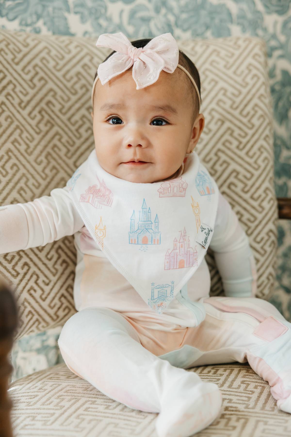 Bandana Bibs - Disney Princess