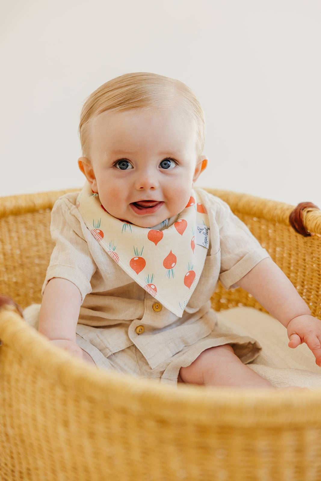 Bandana Bibs - Veggies