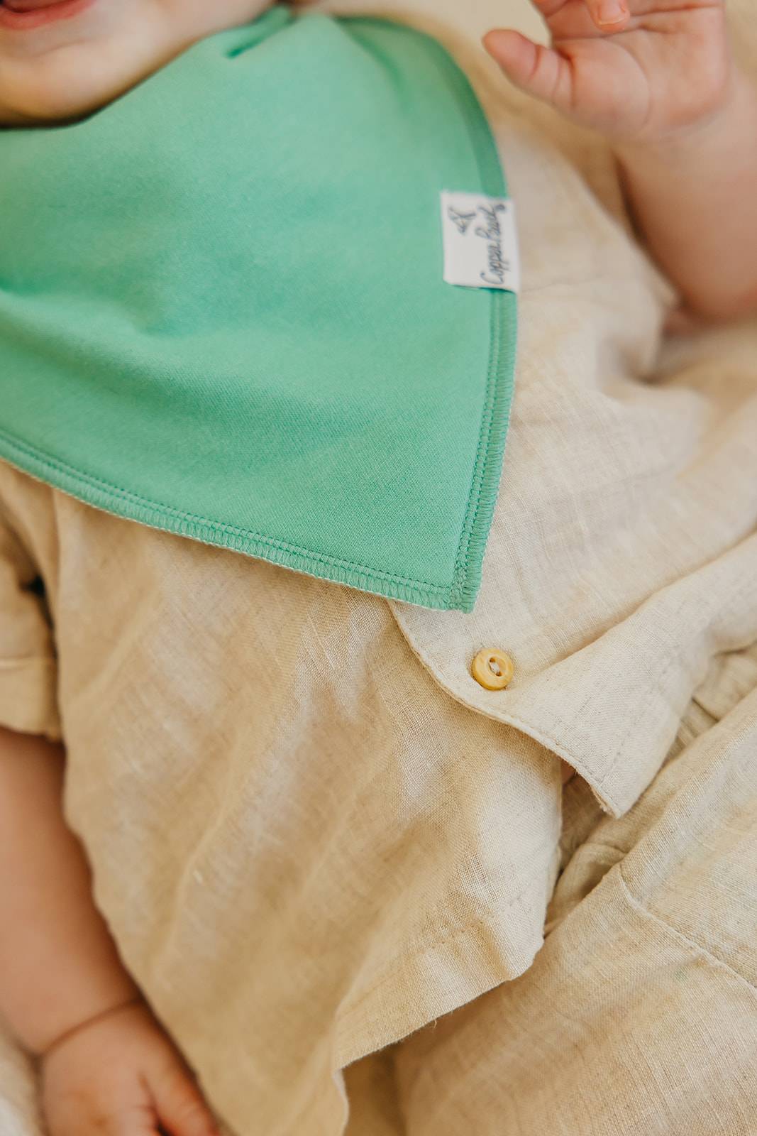 Bandana Bibs - Veggies