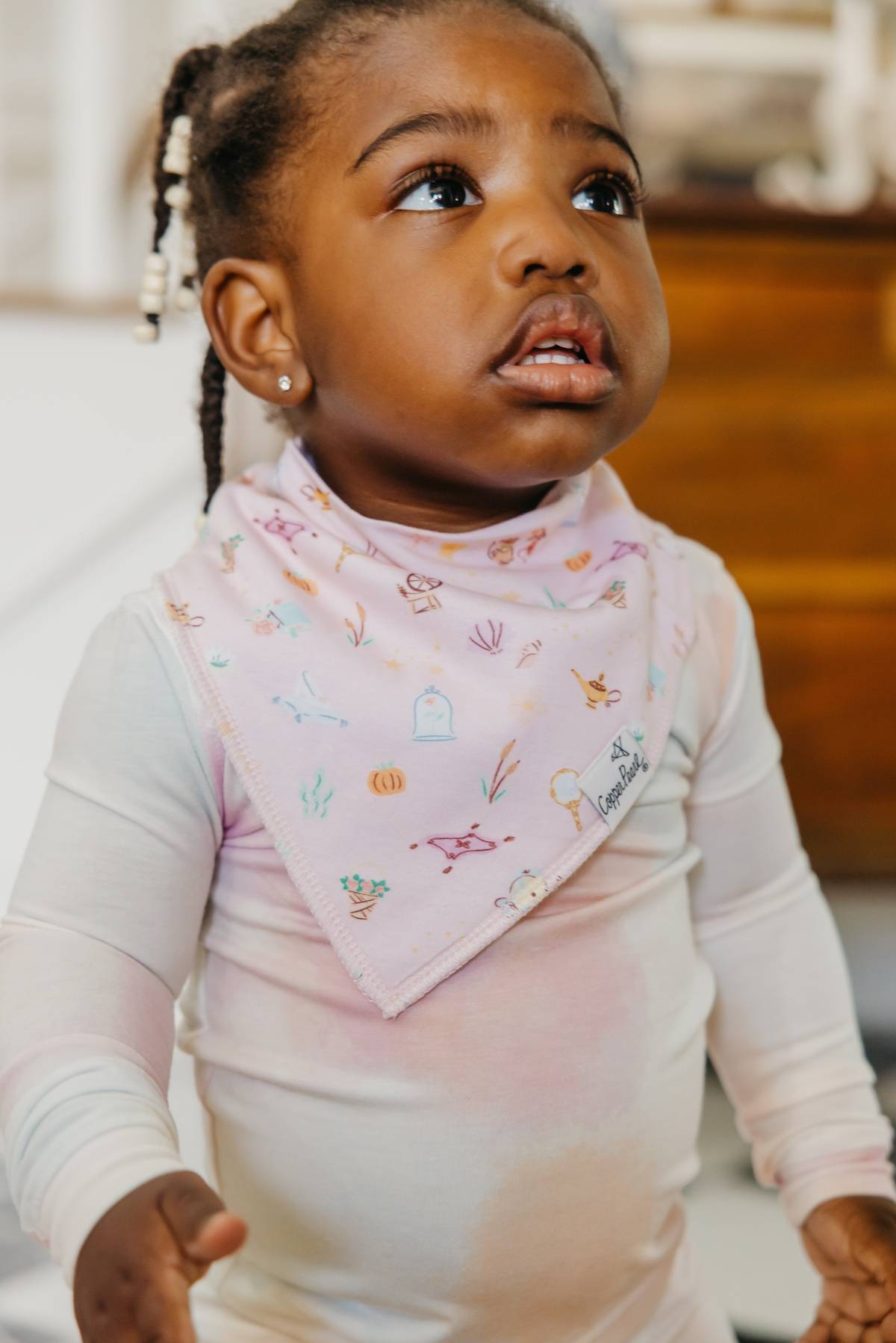 Bandana Bibs - Disney Princess