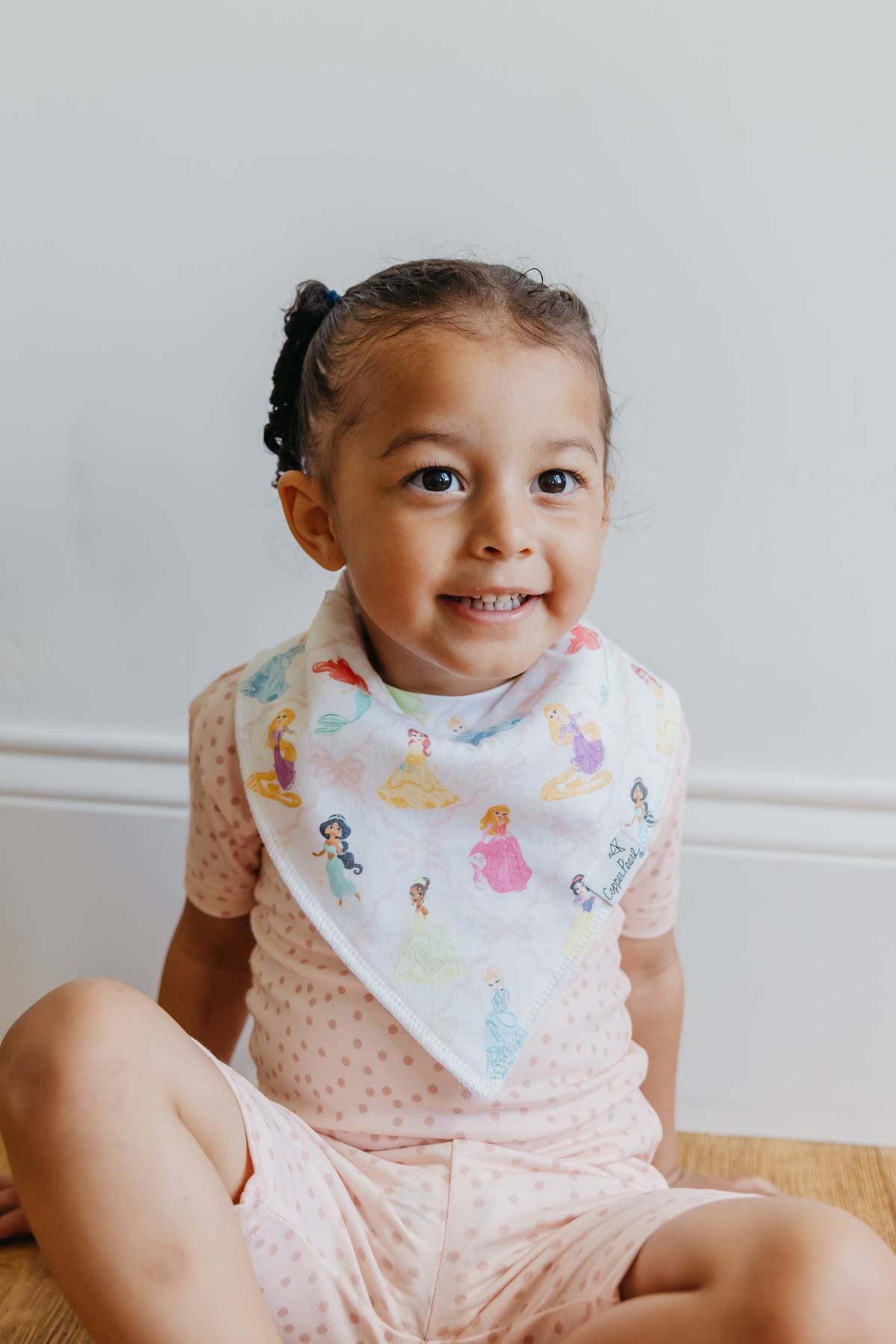 Bandana Bibs - Disney Princess