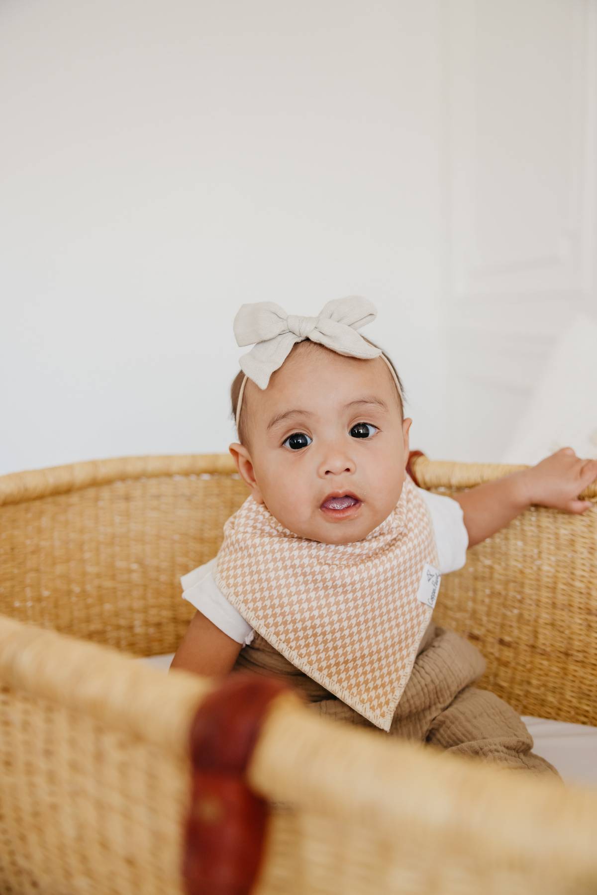 Bandana Bibs - Eden
