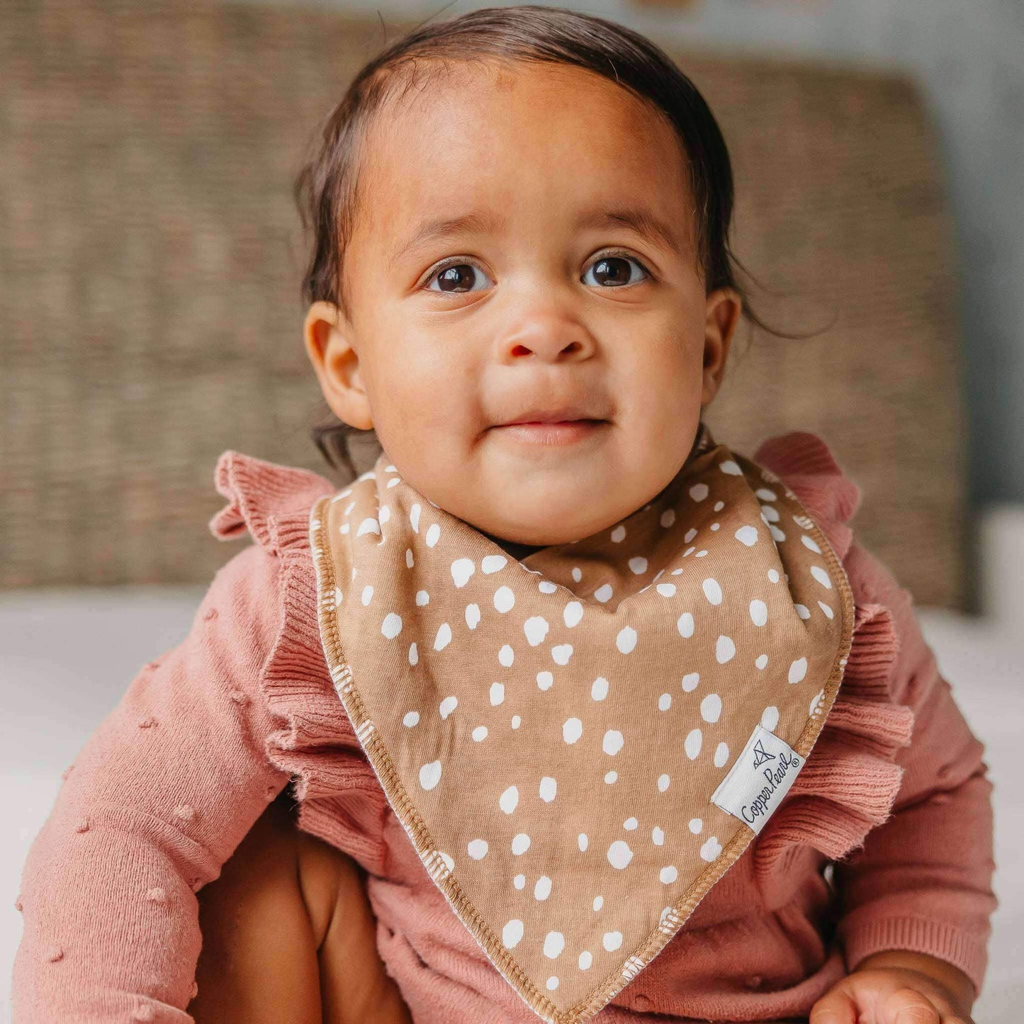 Bandana Bibs - Autumn