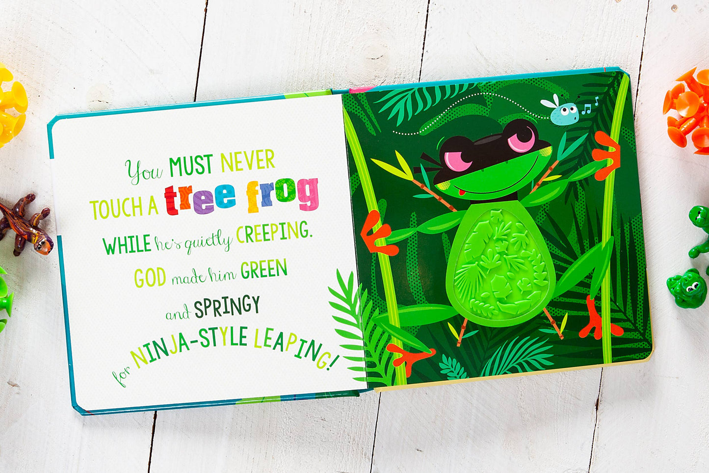 Never Touch God’s Colorful Creations