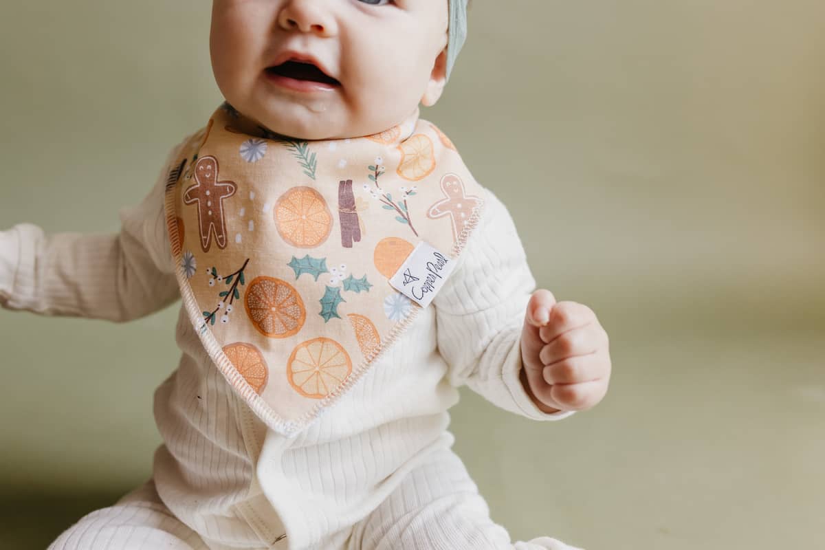 Bandana Bibs - Cider
