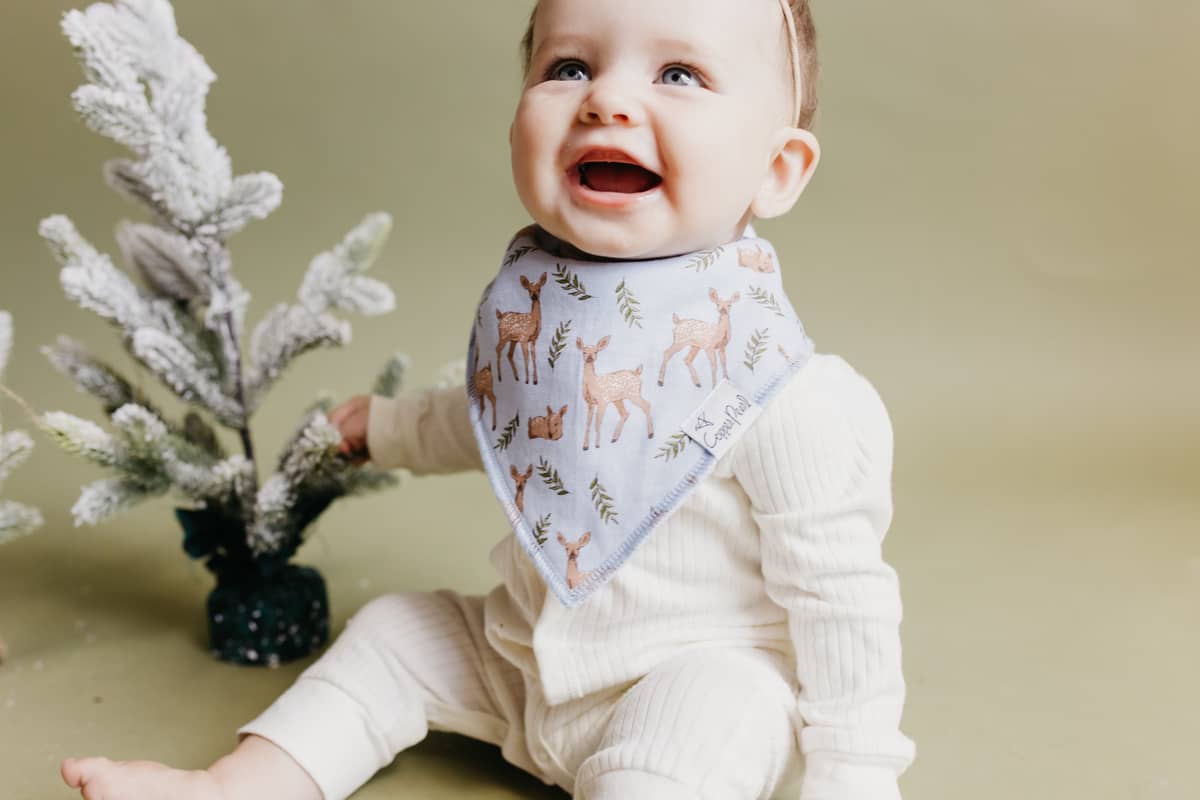 Bandana Bibs - Cider