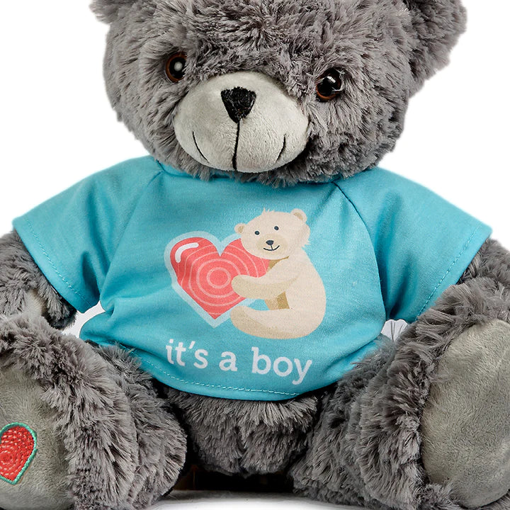 Heartbeat Bear Accessories
