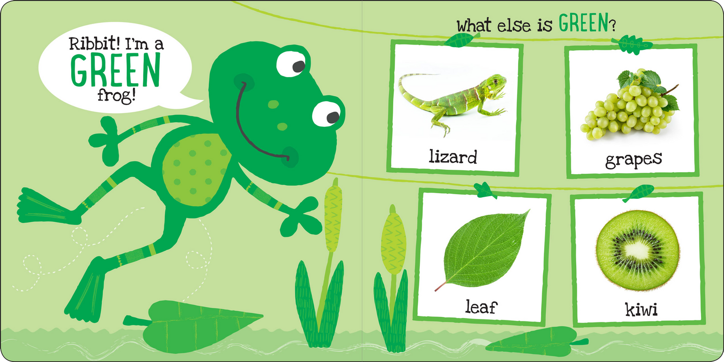 My First Colors Board Book