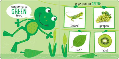 My First Colors Board Book