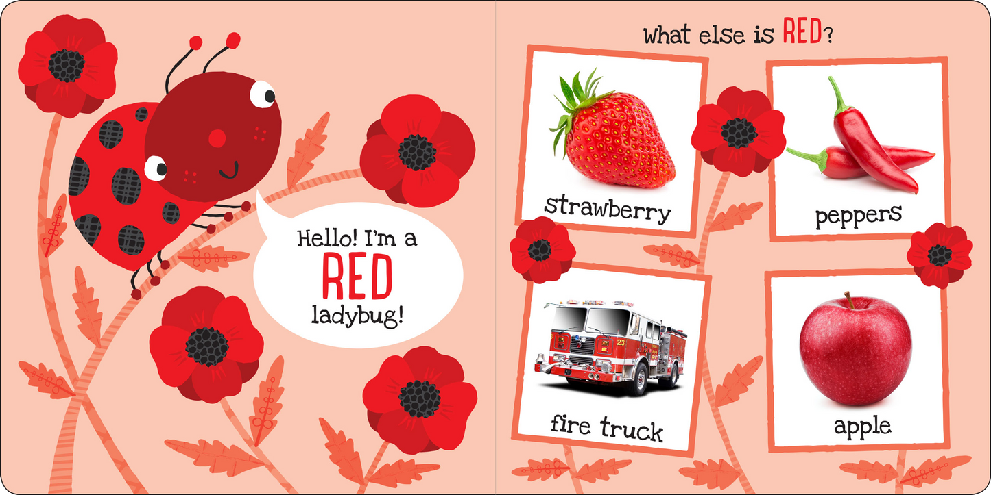 My First Colors Board Book