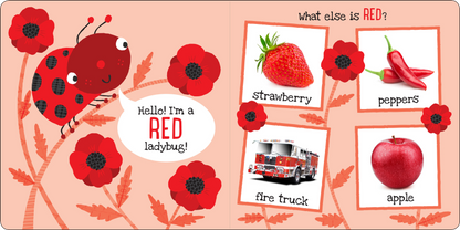 My First Colors Board Book