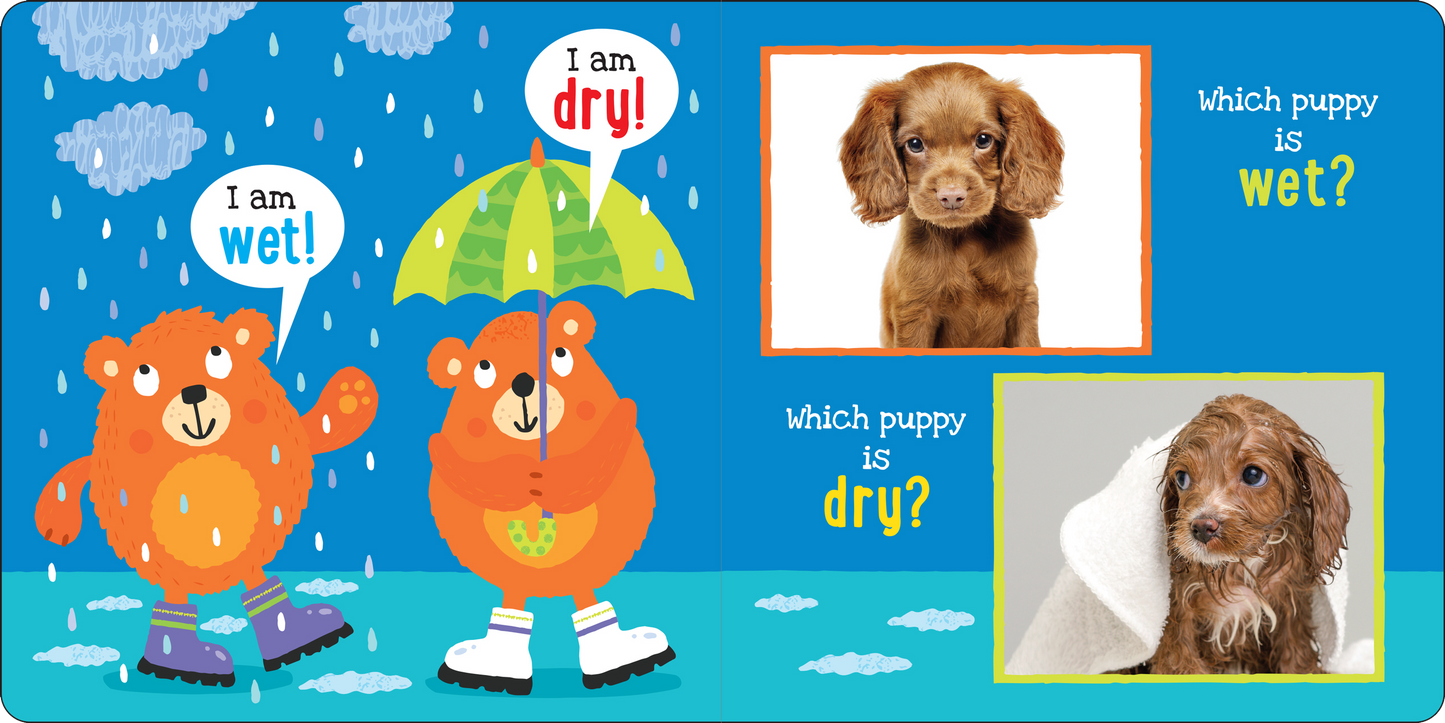 My first OPPOSITES Board Book