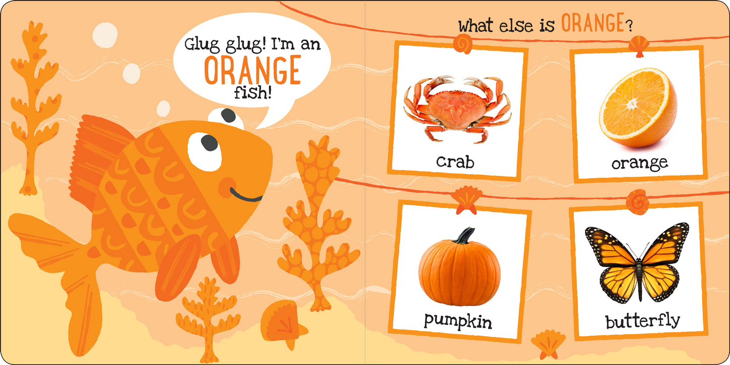 My First Colors Board Book