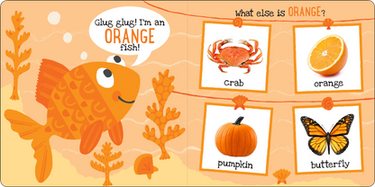 My First Colors Board Book