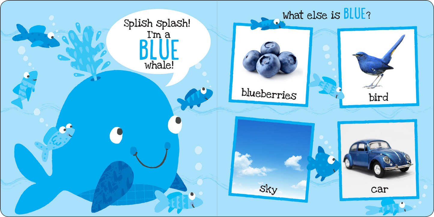 My First Colors Board Book
