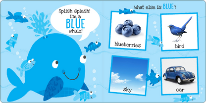 My First Colors Board Book