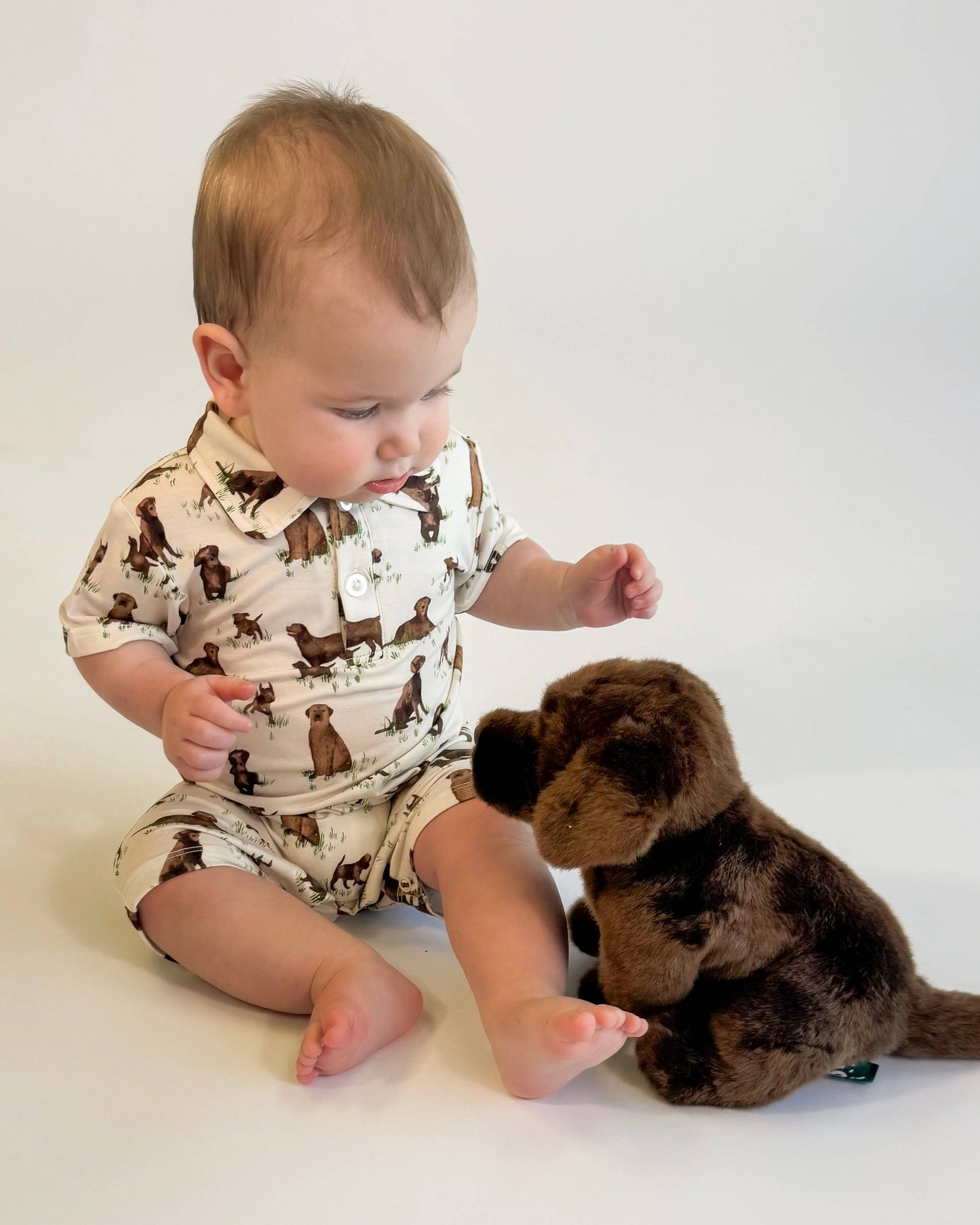 Chocolate Lab Dogs - SS Polo Romper 