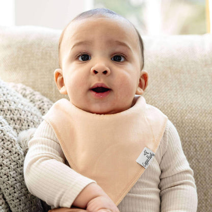 Bandana Bibs - Ryder