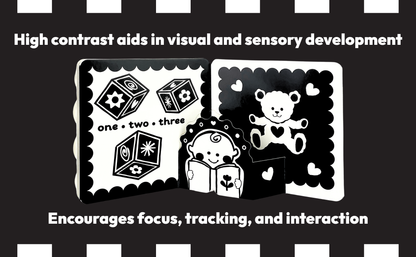 Look, Look, Baby! Playtime High Contrast Black & White Book