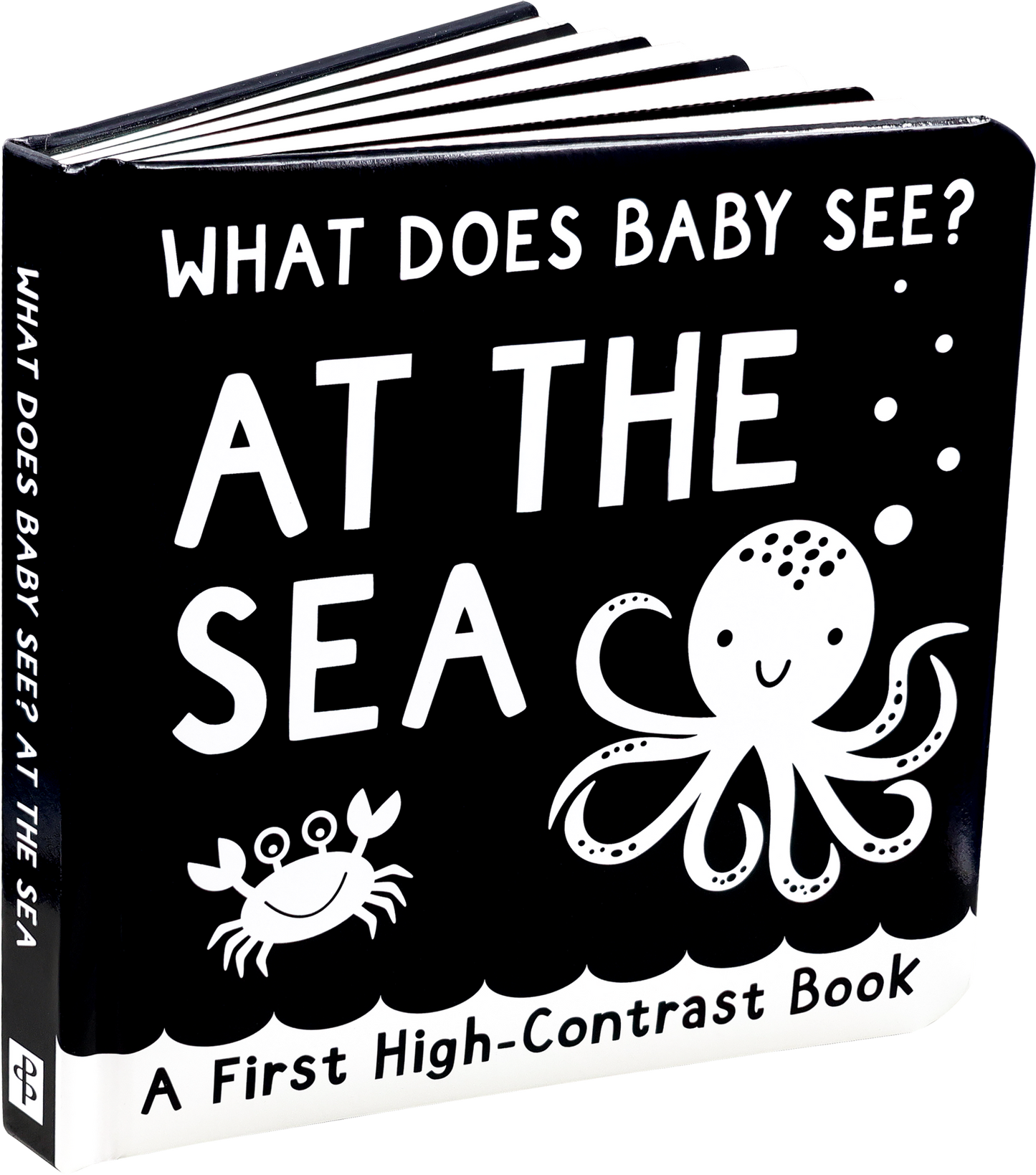 What Does Baby See? - At The Sea