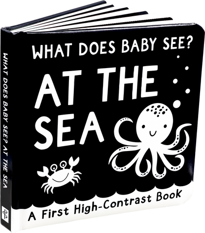 What Does Baby See? - At The Sea