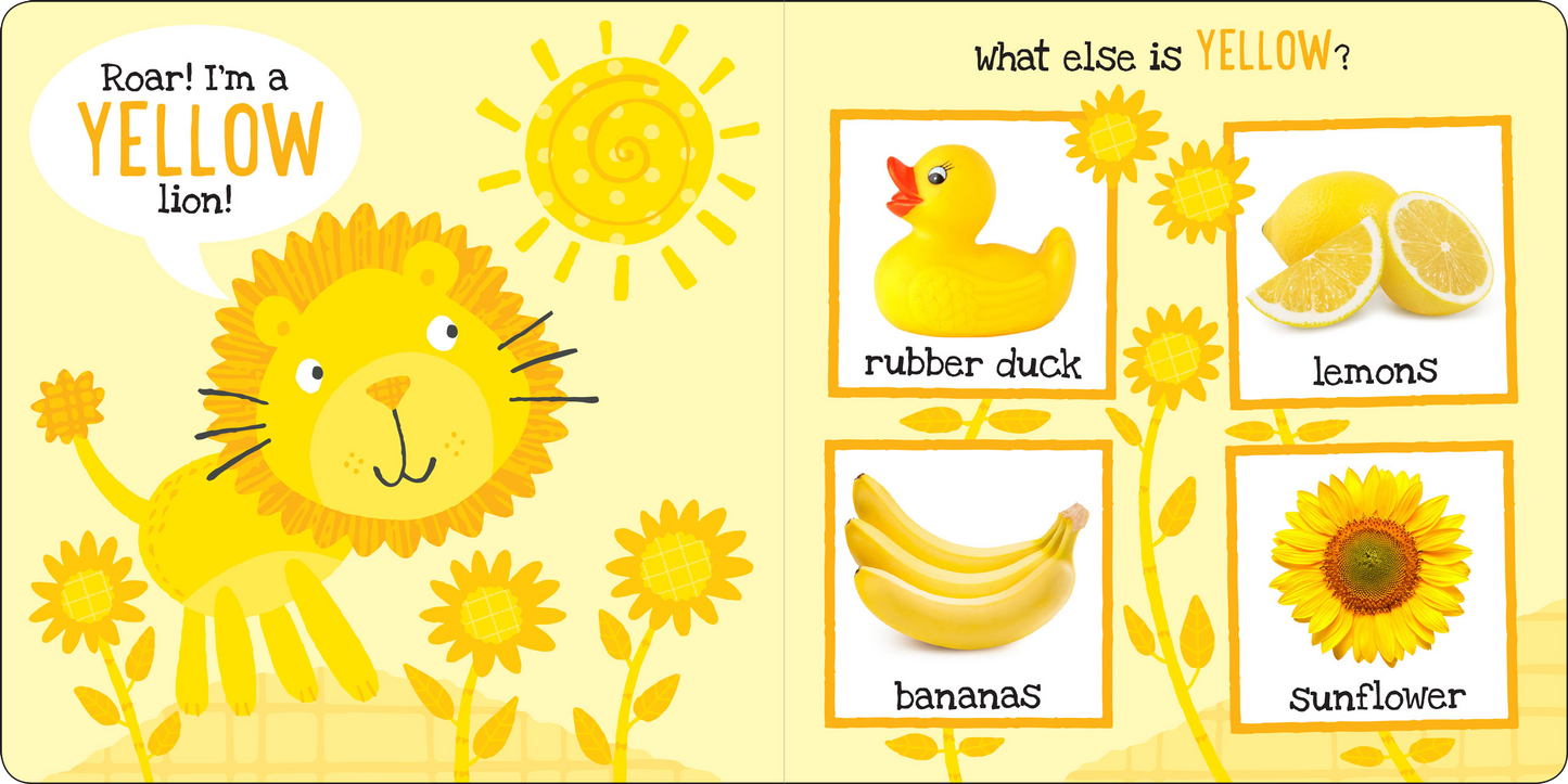 My First Colors Board Book
