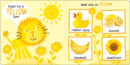 My First Colors Board Book