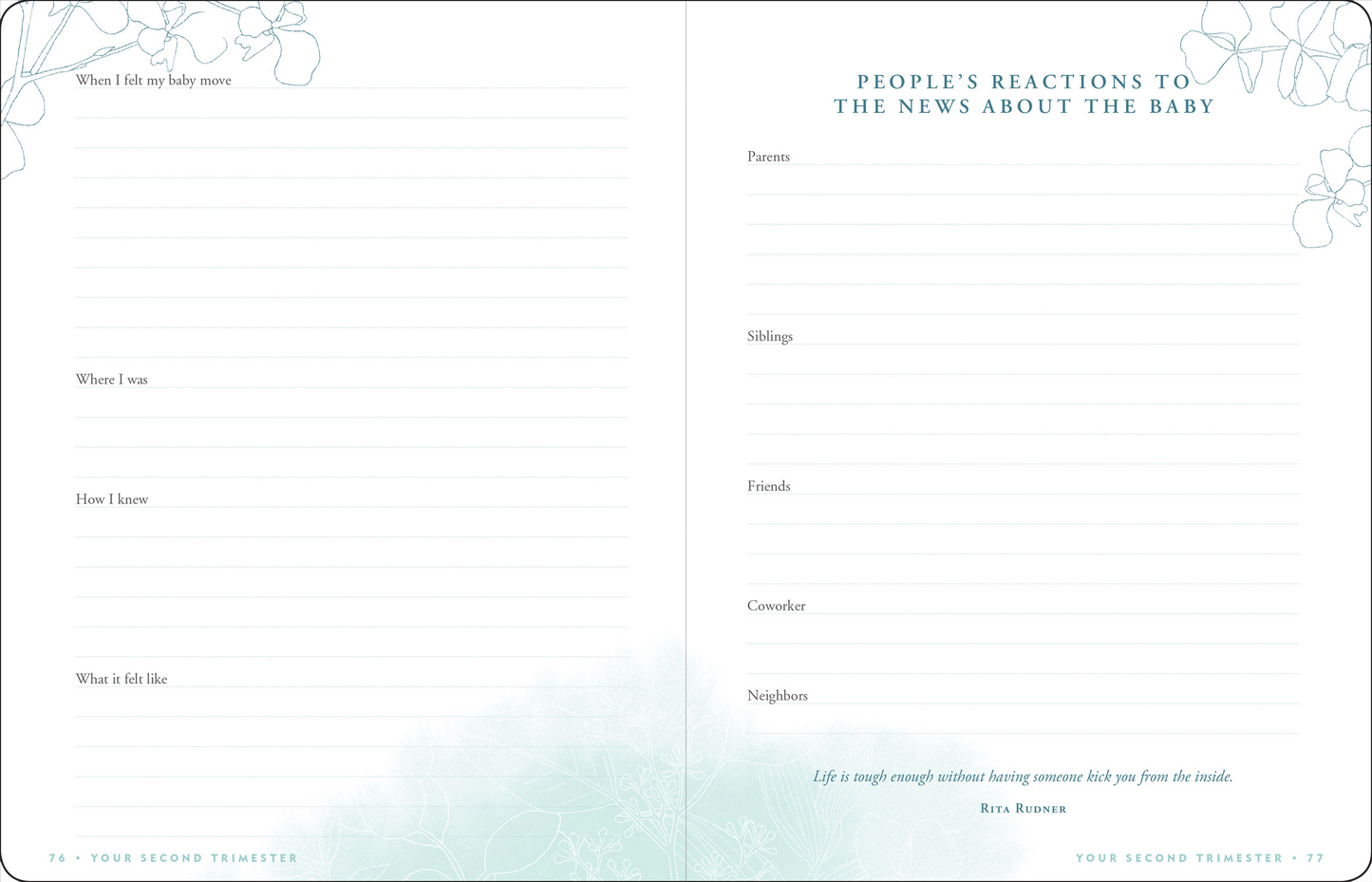 Pregnancy Journal (Modern Classic Edition)