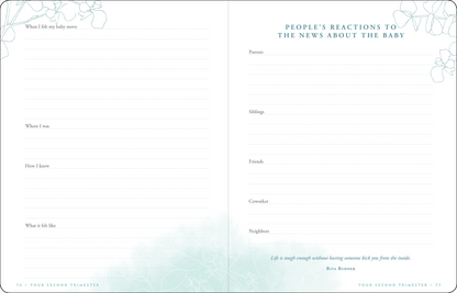 Pregnancy Journal (Modern Classic Edition)