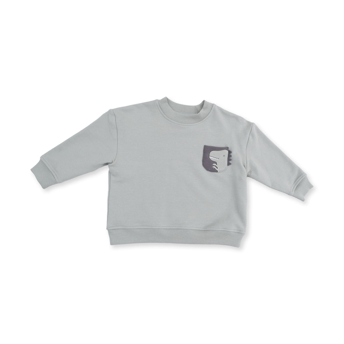 Dinos French Terry - Sweatshirt