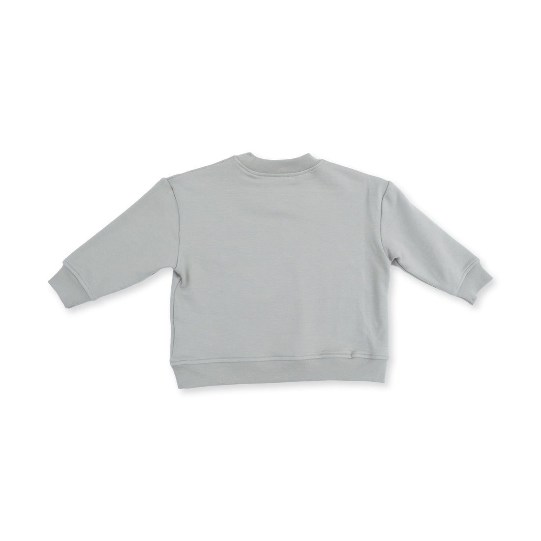 Dinos French Terry - Sweatshirt