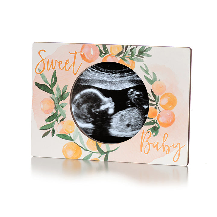 Magnetic Ultrasound Frame