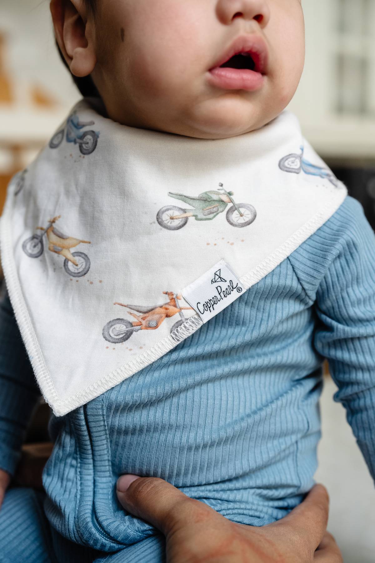 Bandana Bibs - Ryder