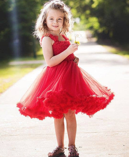 Girls Red Tulle Sleeveless Princess Petti Dress