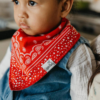 Bandana Bibs - Boone