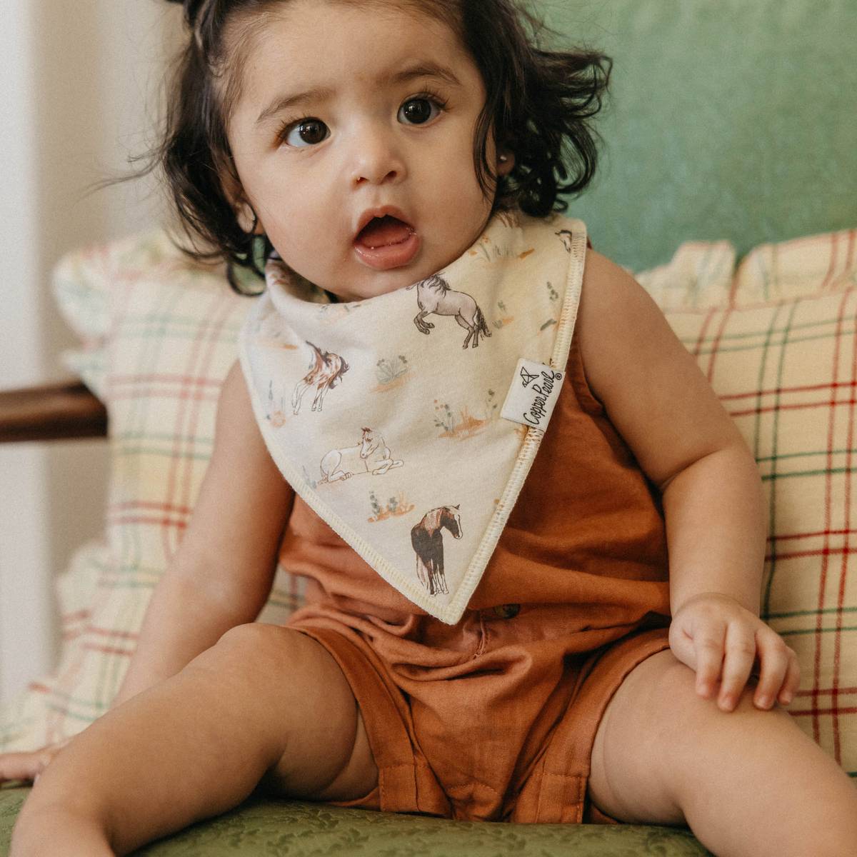 Bandana Bibs - Cheyenne