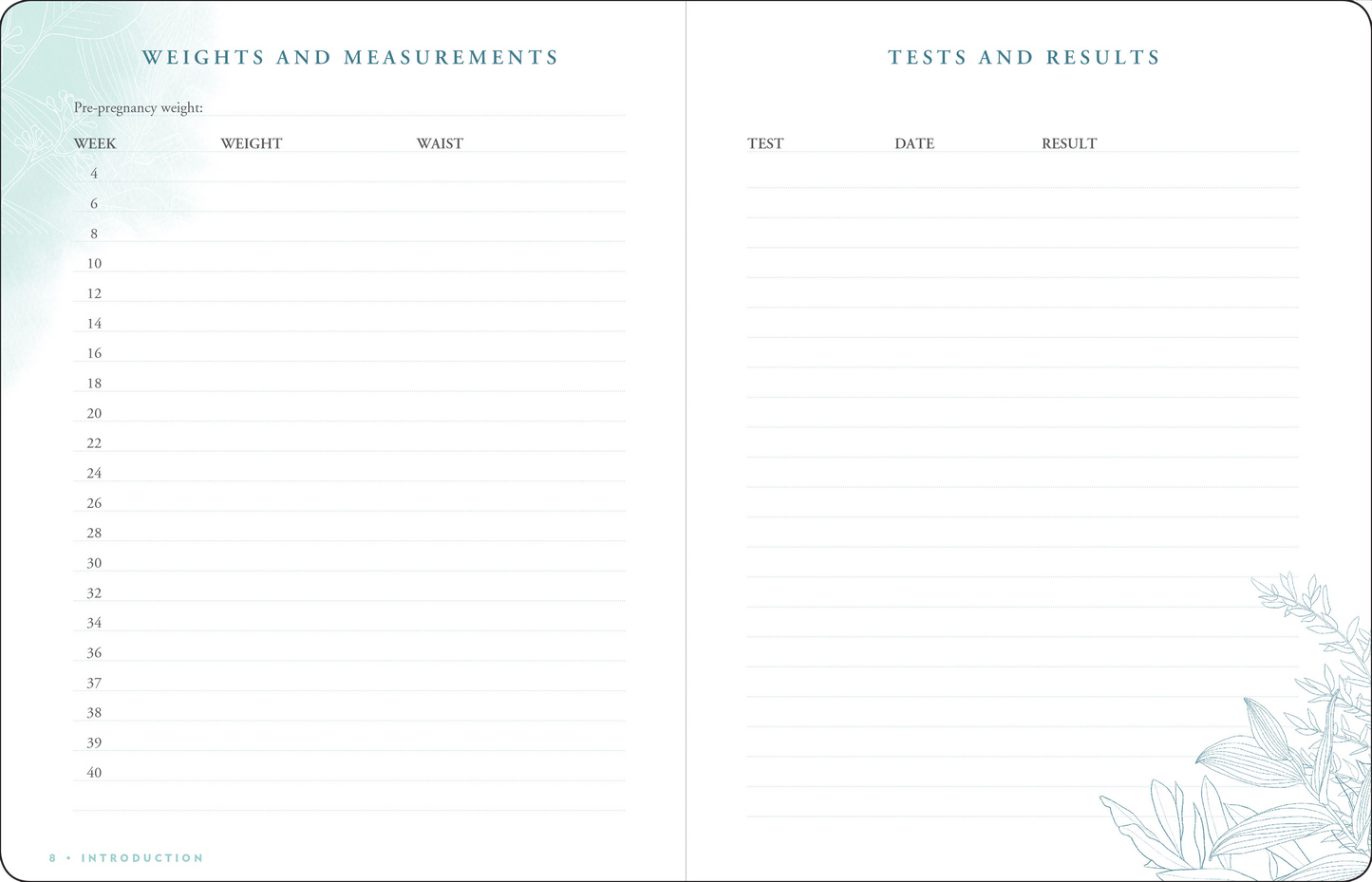 Pregnancy Journal (Modern Classic Edition)