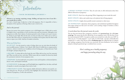 Pregnancy Journal (Modern Classic Edition)