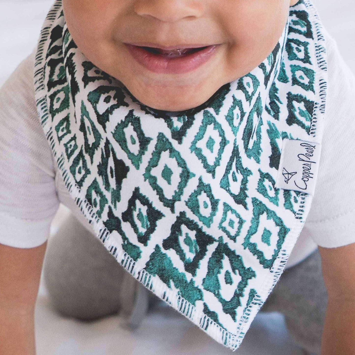 Bandana Bibs - Bison
